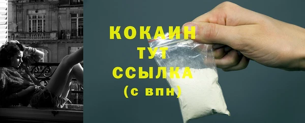 СК Бронницы