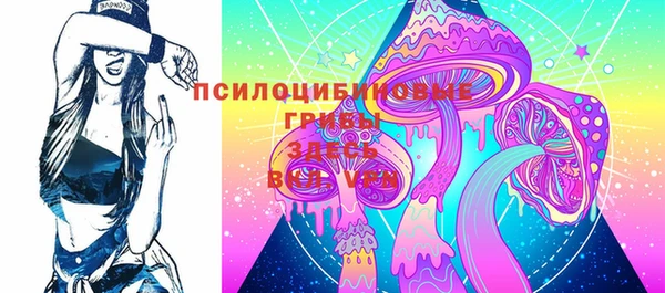 СК Бронницы