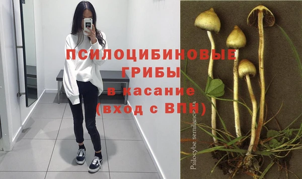 ECSTASY Бугульма