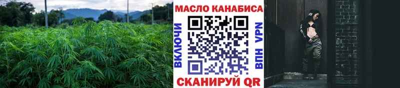купить  цена  Кола  ТГК концентрат 